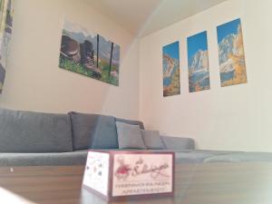 Die Schladmingerin Franz