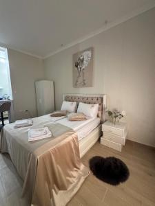 Apartman Modena Novi Sad