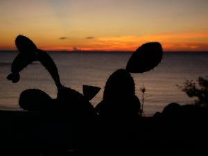 Costa Est Apartments img32