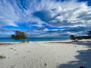 Costa Est Apartments img37