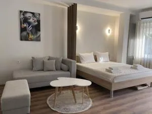 Valentina Apartament - 内戈蒂诺