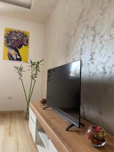 Comfort studio Lepa Kata