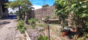 B&B / Chambres d'hotes Chateau Saint-Martin : photos des chambres