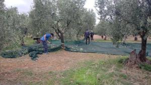 La TORRETTA AFFITTI BREVI