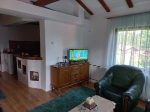Zoja Apartman Vlasinsko Jezero
