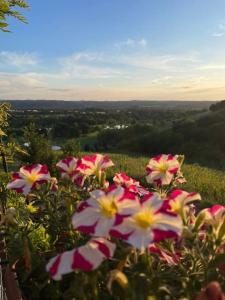 Locanda del Glis glis