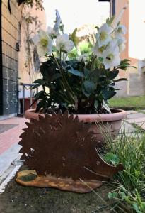 Locanda del Glis glis img10