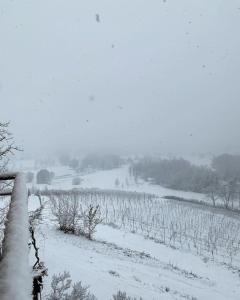Locanda del Glis glis img16