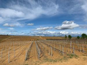 Locanda del Glis glis img33