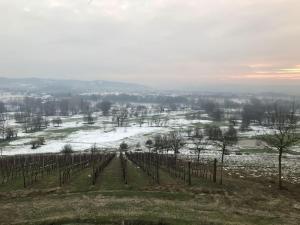 Locanda del Glis glis img43