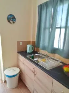 Themelis Apartment II - Emborios