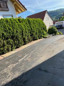 FeriendomizilaufderZollernalb