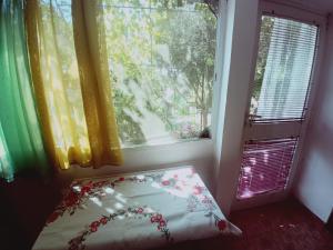 Zagradge IN Apartments