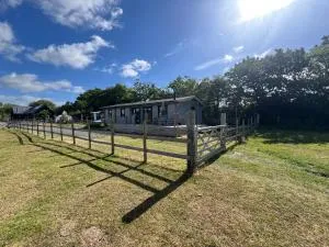 The Alpaca Cabin - Rowlands Castle