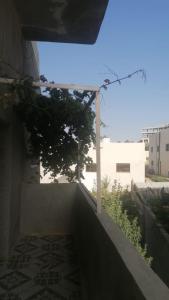 الاردن عجلون رأس منيف