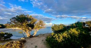 Costa Est Apartments img53