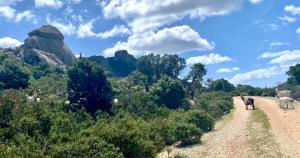 Costa Est Apartments img74