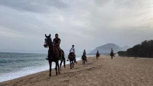 Costa Est Apartments img79