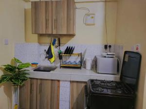 Flat in Central business district nairobi