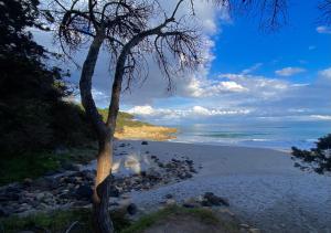 Costa Est Apartments img85