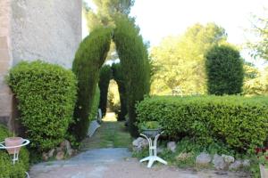 B&B / Chambres d'hotes Chateau Saint-Martin : photos des chambres