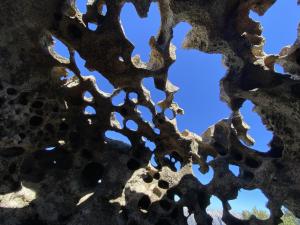 Costa Est Apartments img87