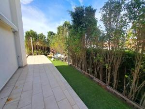 Rembrandt 5 Oliva Nova