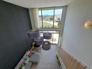 Rembrandt 5 Oliva Nova