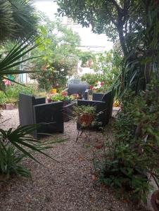 Bed & Breakfast Paui img76