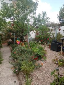 Bed & Breakfast Paui img66