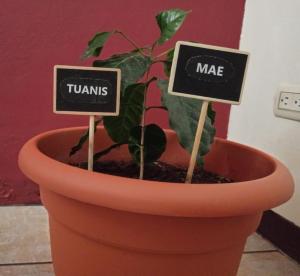 Casa Cafetal Aeropuerto