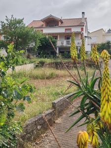 Apartments with parking space Zman, Dugi otok - 449