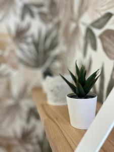 Appartements LE CATELE - Studio RIOM - 3 pers - Vulcania - Puy de Dome - Proche Clermont Ferrand : photos des chambres