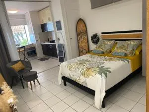 PreciousHome - Pointe-à-Pitre