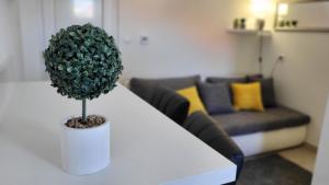 Mila Apartments Zadar