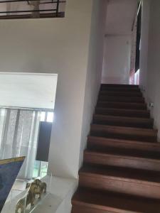 LuxuryDreams zenia boulevard