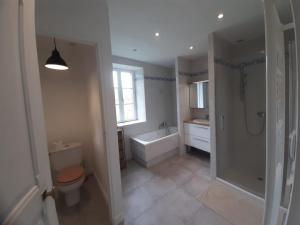 Retraite Champêtre avec Home Cinéma et Verger Libre Cueillette, près de la Loire et des Châteaux - FR-1-590-435