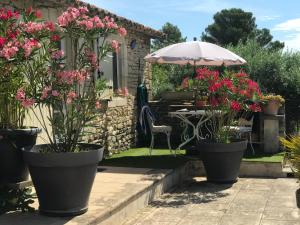 B&B / Chambres d'hotes Chambre d'hotes chez Maguy B-Villa Makeire : photos des chambres