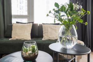 Arctic Pine City Suite