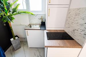 Royal - Luxury Apartment B - Old City - Victoriei