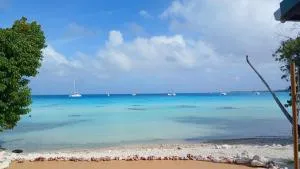 Jeannine Lodge - Tiputa