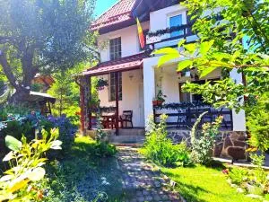 Vila Mikdonia - Predelut Home - Predeluţ