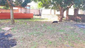 Serene Home in Morogoro