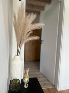 Domki Dolina Roztocza