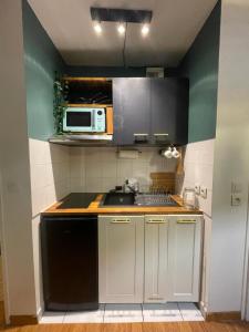 Green Balcony Lille Hyper centre