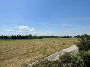 Appartement 2 pièces 4 couchages ARGELES SUR MER AR320-A08