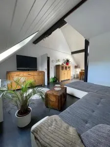 Große Ferienwohnung direkt an den Weinbergen - Nothgottes