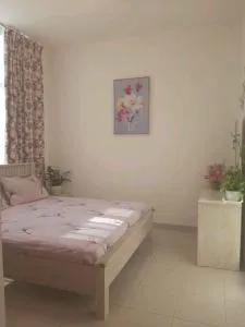 Placid Rentals - Hāil