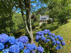 Ty Lora - Isolée en bord de mer