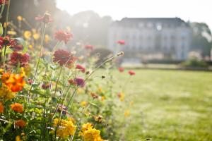 Hotels Domaine de Saulon : photos des chambres